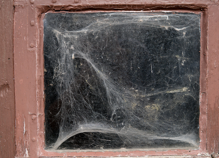 detail of old window with spider webの写真素材