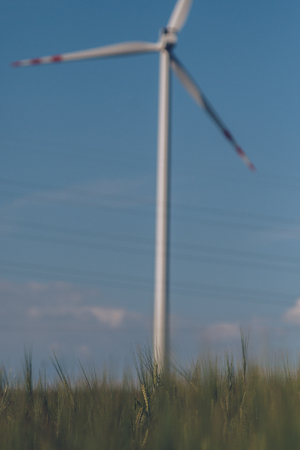 landscape with ears of rye with wind turbine in the backgroundの写真素材