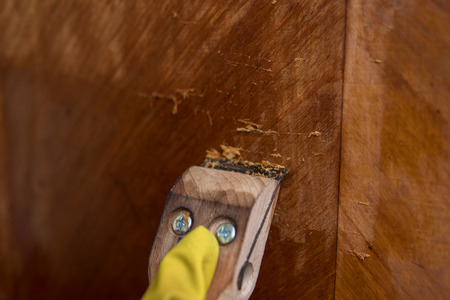 scratching old wax with a tool as a part of restoration process of old furnitureの写真素材