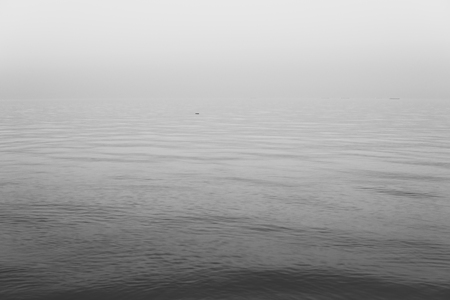 Calm sea with small ripples and pieces of wood floating on a water surface in a foggy weatherの写真素材