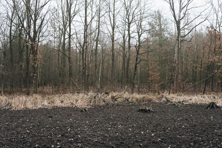landscape with bottom of a dried lake during winter season on foggy dayの写真素材