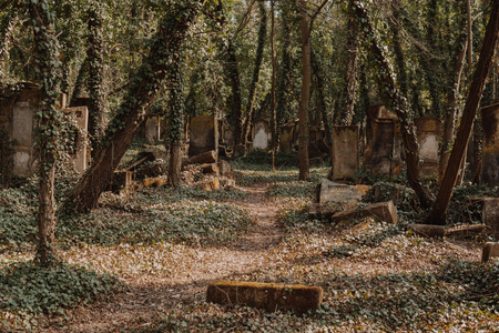 landscape of old jewish cemetery with destroyed tombstones in city of Czestochowa in Polandの写真素材