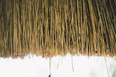 close up of a straw used to construct a thatched roofの写真素材