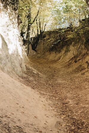bottom of a most famous gully landform in Kazimierz Dolny called Korzeniowy dolの写真素材