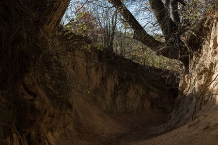bottom of a most famous gully landform in Kazimierz Dolny called Korzeniowy dol