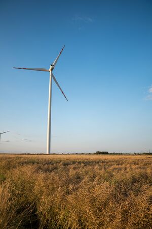 landscape with wind turbines in the field in summer