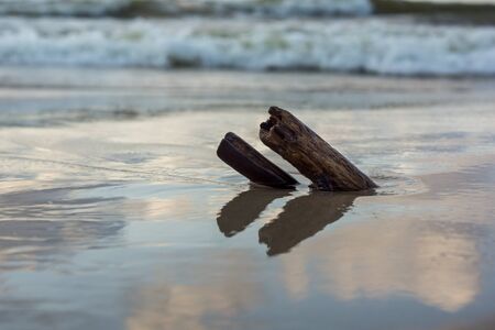 close up of sticks stucked in the sand on the beachの写真素材