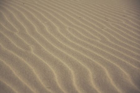 detail of a ripple marks on a sandy beach asn an effect of an eolic processの写真素材
