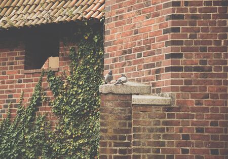 august, 2019, malbork, poland: Detail of walls of malbork castleの写真素材