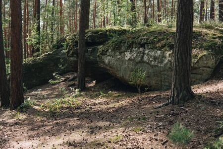landscape with a large sandstones inside of a forest in nature Reserve Rocks in Krynki in...