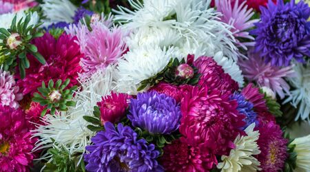 close up of a bouquet from chrysanthemum flowers in different colorsの写真素材