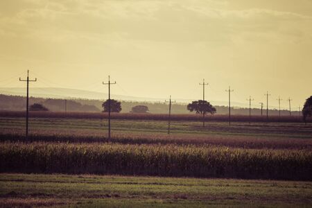 rural landscape with epower lines and fields at the end of the summer season