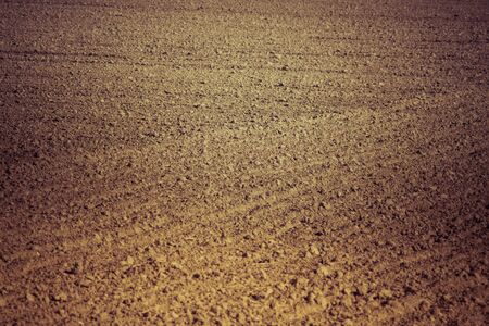 abstract composition of plowed field at the end of summerの写真素材