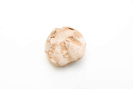 detail of echinodermata echinoidia fossil isolated over white backgroundの写真素材