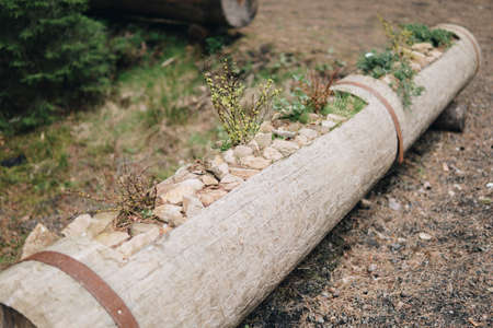 small plants growing inside of woodden potsの写真素材