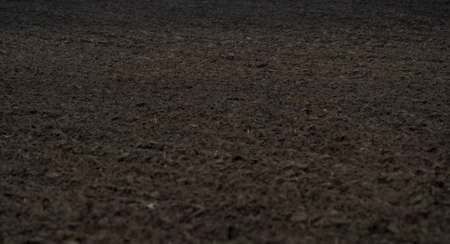 detail of an empty and wet field during early spring