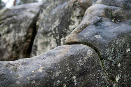 close up of sandstone rocks covered with green moss and lichens during fall seasonの写真素材