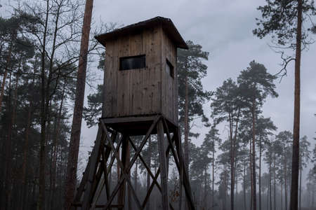 hunting pulpit inside of a forest during foggy day in autumn season in Polandの写真素材
