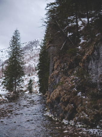 Natural stream in Koscieliska Valley at Kantaka Gate in Tatra Mountains during winter season with snow coverの写真素材