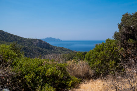 Landscape with mountains at Rhodes island with mediterranean floraの写真素材