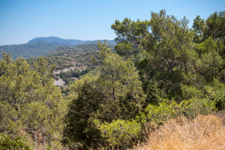 Landscape with mountains at Rhodes island with mediterranean floraの写真素材