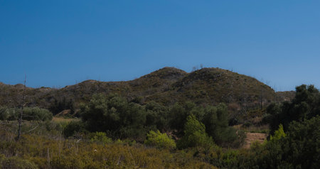 Landscape with small hills at greek island Rhodesの写真素材