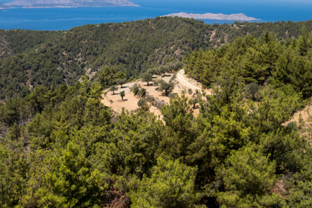 Landscape with mountains at Rhodes island with mediterranean floraの写真素材