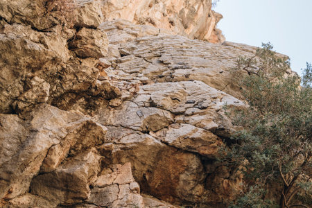 flint inside of limestone rocks in the bottom of Jacob's Canyon at Rhodes Island in Greeceの写真素材