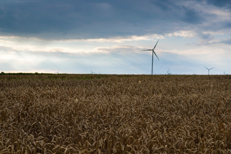 landscape with wind turbines generating power in the fieldの写真素材