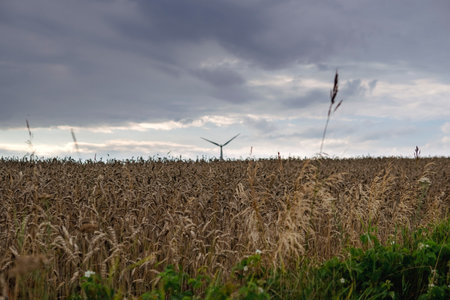 landscape with wind turbines generating power in the fieldの写真素材