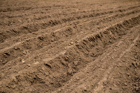 Empty plowed field at the beginning of spring seasonの写真素材