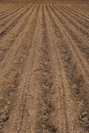Empty plowed field at the beginning of spring seasonの写真素材