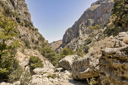 empty bed of a river that flows through a poplar gorge on the creteの写真素材