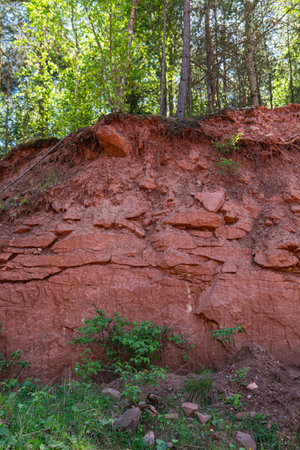 Layers of soil on the sandstone and under the forest