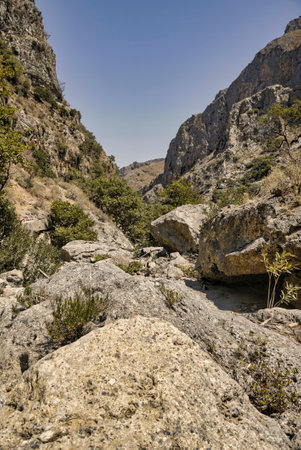 empty bed of a river that flows through a poplar gorge on the creteの写真素材