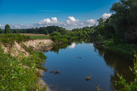 landscape with erosion on a fragment of the bank of Bug river in Lubelskie Voivodship, Poland