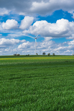 Landscape of a wind farm with power turbines in a field during spring with cumulus cloudsの写真素材