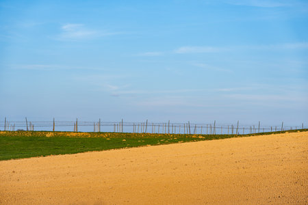 Spring landscape in which you can see empty fieldsの写真素材