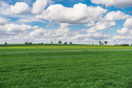 Landscape of a wind farm with power turbines in a field during spring with cumulus cloudsの写真素材