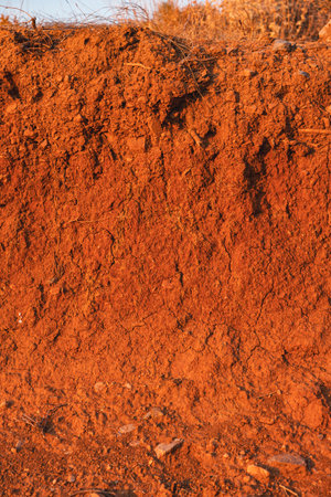Detail of terra rosa soil with visible layers