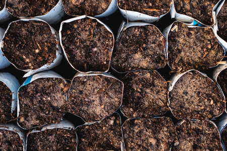 Close-up of soil prepared for single seedlingsの写真素材
