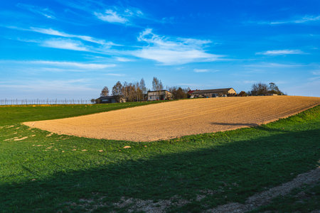 Spring landscape in which you can see growing grain and empty fieldsの写真素材
