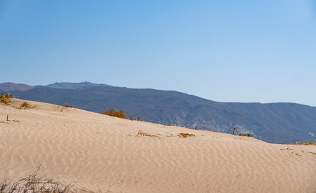 Ripple marks formed by aeolian processes on a sandy beach in Mediterranean regionの写真素材