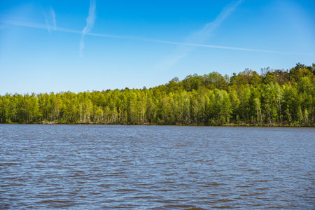 Landscape with a shore of dystrophic lake obradowskie in lubelskie voivodship in Polandの写真素材