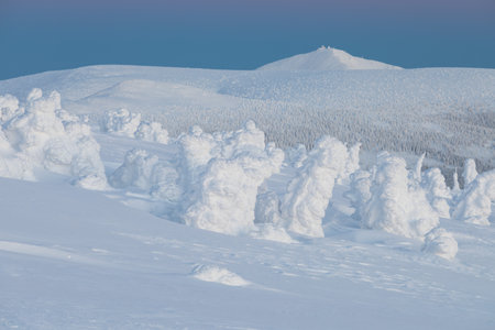 View of forest and mountain covered with snowの写真素材