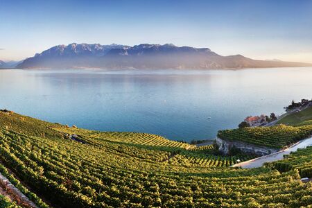 Aerial view of Lake Geneva, Vevey, Switzerland, Canton of Vaud, Switzerlandの写真素材
