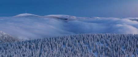 Winter panorama landscape with forest, trees covered with snow and sunrise. Winter morning of a new...