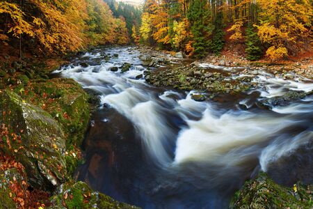 Autumn landscape, colorful leaves on trees, morning at river. Autumn stream. Fresh green leaves on branches above waterの写真素材