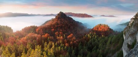 Autumn mountain forest rocks view. Mountain rocks in autumn forest. Autumn forest trees in rocks. Mountain forest in autumn landscape. Explore the beauty of the world Colorful landscape background conceptの写真素材