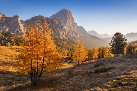 Tofana di Rozes mountain ridge. Trentino Alto Adige Region, South Tyrol, Veneto, Italy. Dolomite Alps, famous travel destination in Europe. Vicinity of village Cortina d'Ampezzo Autumn sunny dayの写真素材